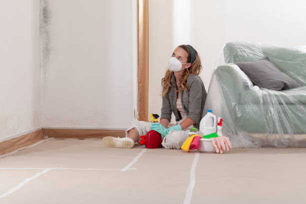 Reliable Mold Remediation contractor in North Port, FL by WQB Mold Removal
